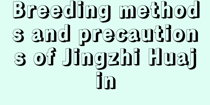 Breeding methods and precautions of Jingzhi Huajin