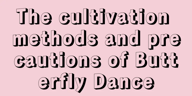 The cultivation methods and precautions of Butterfly Dance