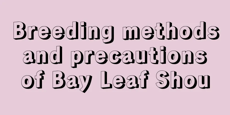 Breeding methods and precautions of Bay Leaf Shou