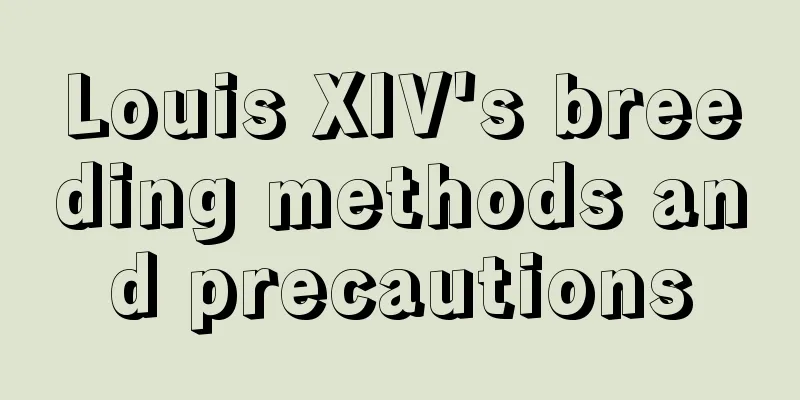 Louis XIV's breeding methods and precautions