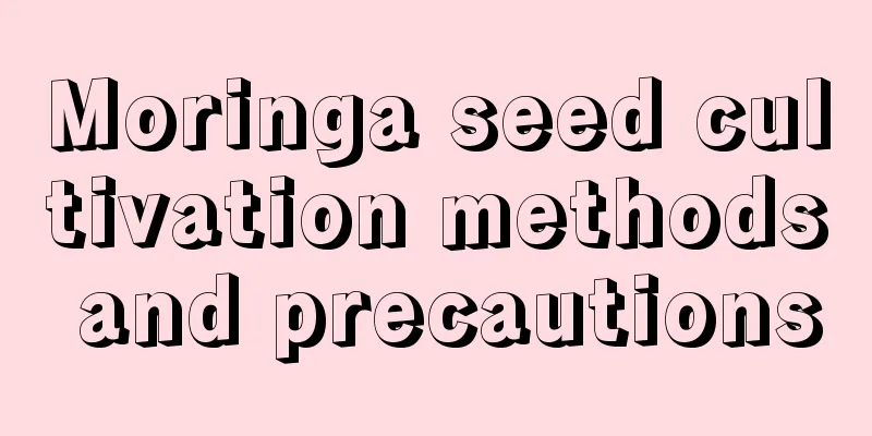 Moringa seed cultivation methods and precautions