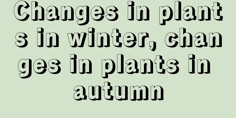 Changes in plants in winter, changes in plants in autumn