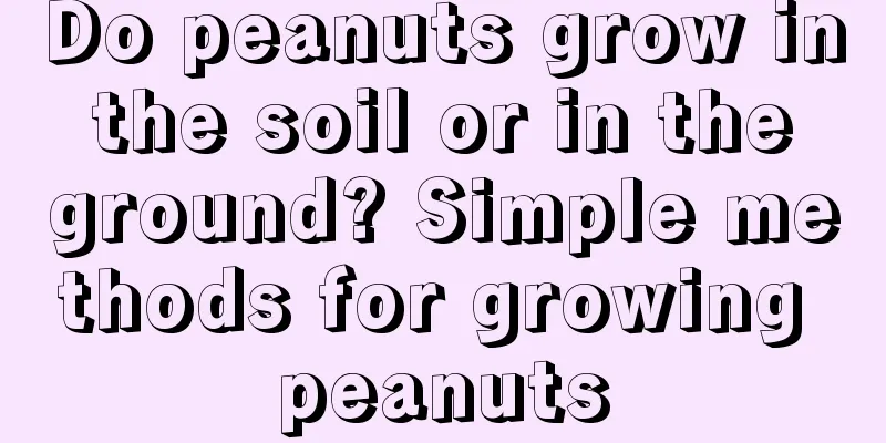 Do peanuts grow in the soil or in the ground? Simple methods for growing peanuts