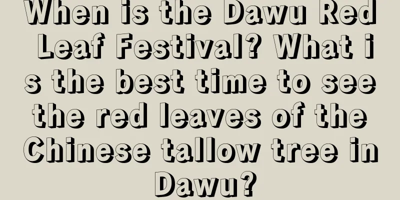 When is the Dawu Red Leaf Festival? What is the best time to see the red leaves of the Chinese tallow tree in Dawu?