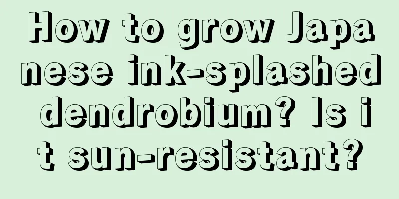 How to grow Japanese ink-splashed dendrobium? Is it sun-resistant?