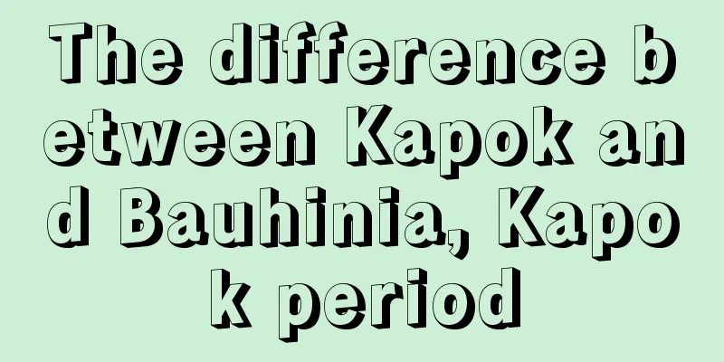 The difference between Kapok and Bauhinia, Kapok period