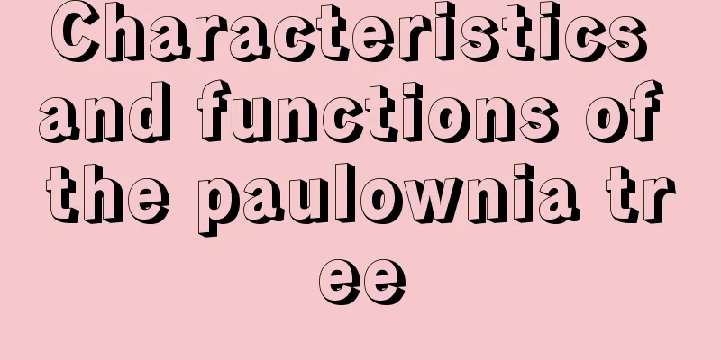 Characteristics and functions of the paulownia tree