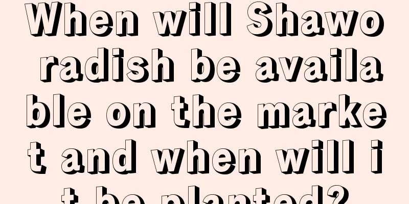 When will Shawo radish be available on the market and when will it be planted?