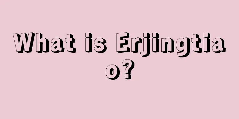 What is Erjingtiao?