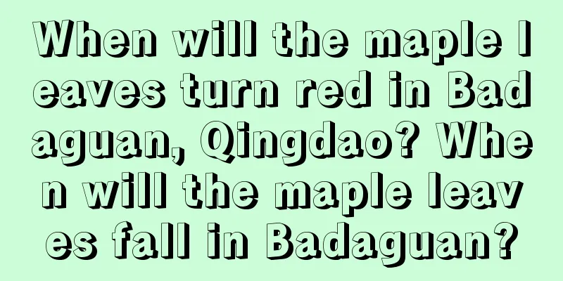 When will the maple leaves turn red in Badaguan, Qingdao? When will the maple leaves fall in Badaguan?