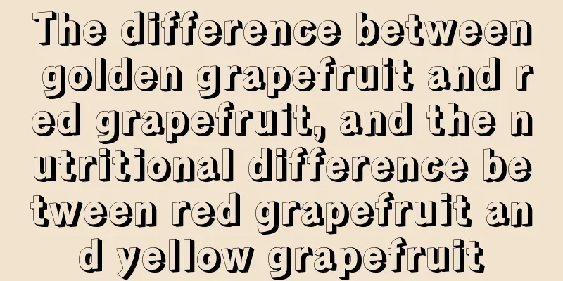 The difference between golden grapefruit and red grapefruit, and the nutritional difference between red grapefruit and yellow grapefruit