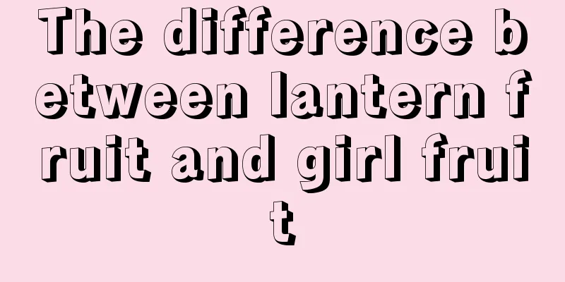 The difference between lantern fruit and girl fruit