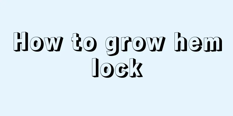 How to grow hemlock