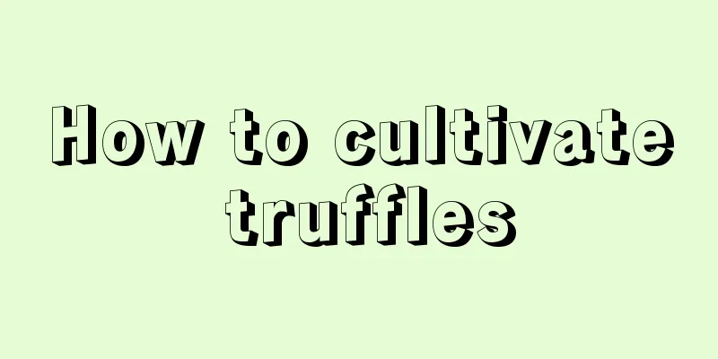 How to cultivate truffles