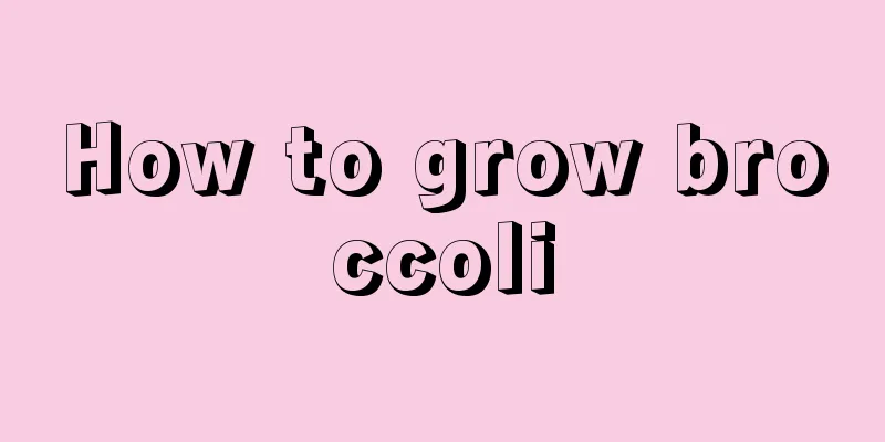 How to grow broccoli