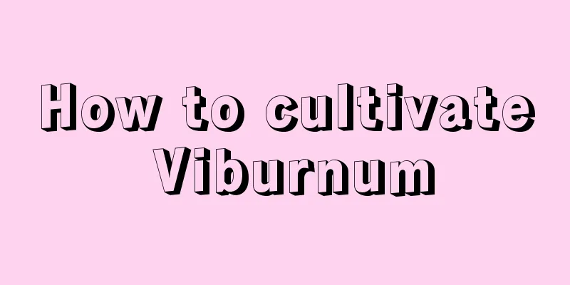 How to cultivate Viburnum