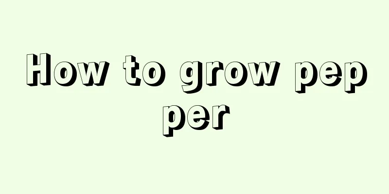 How to grow pepper