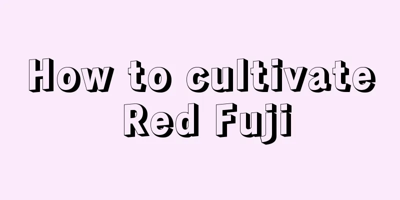 How to cultivate Red Fuji