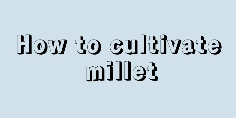 How to cultivate millet