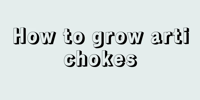 How to grow artichokes