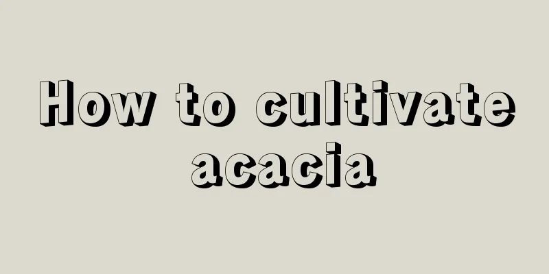 How to cultivate acacia