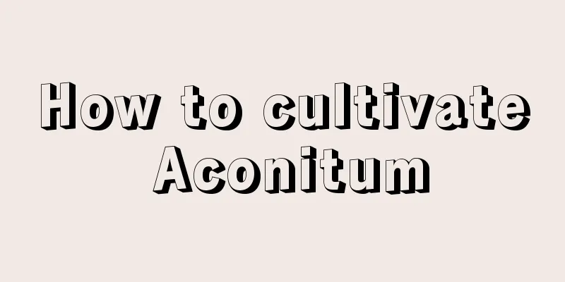 How to cultivate Aconitum