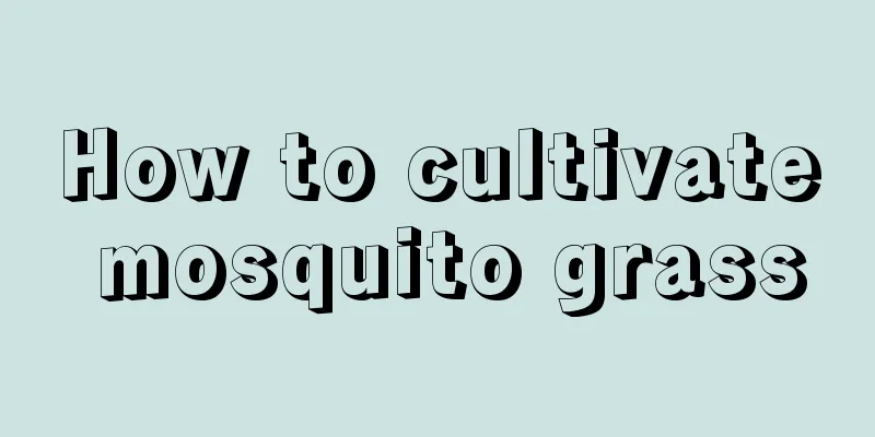 How to cultivate mosquito grass