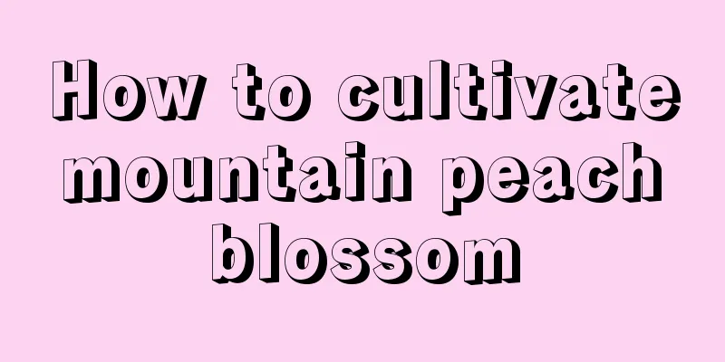 How to cultivate mountain peach blossom