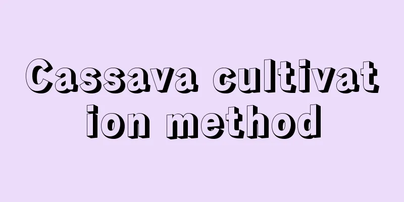 Cassava cultivation method