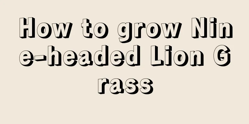 How to grow Nine-headed Lion Grass