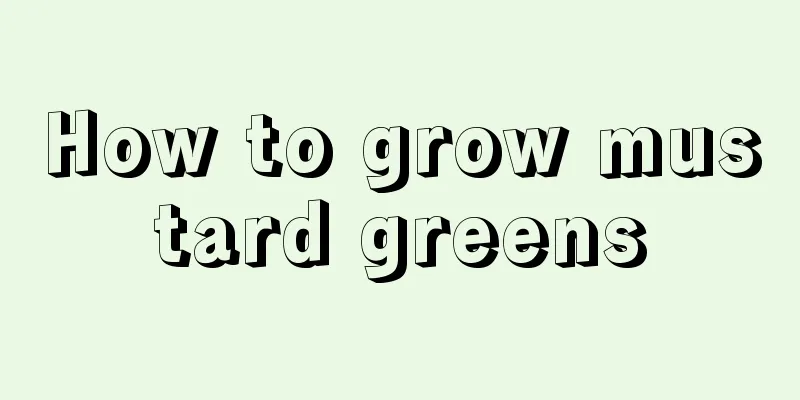 How to grow mustard greens