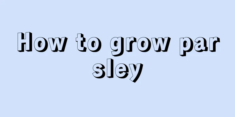 How to grow parsley