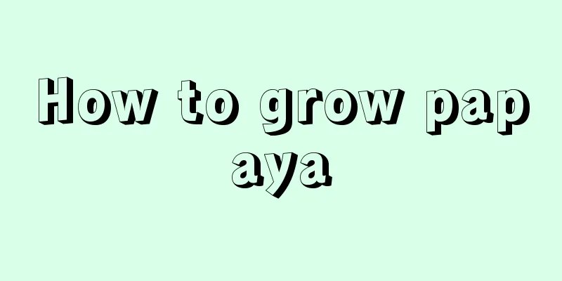 How to grow papaya