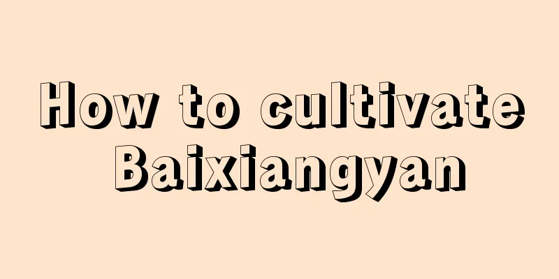 How to cultivate Baixiangyan