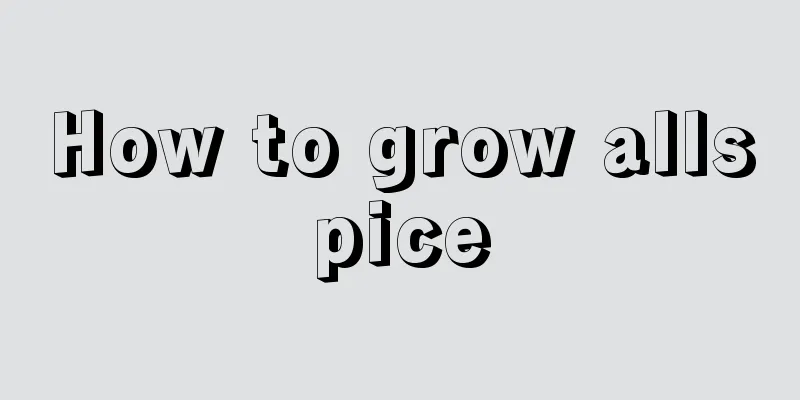 How to grow allspice