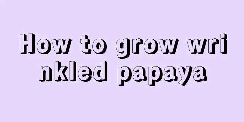 How to grow wrinkled papaya