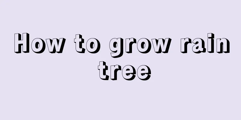 How to grow rain tree