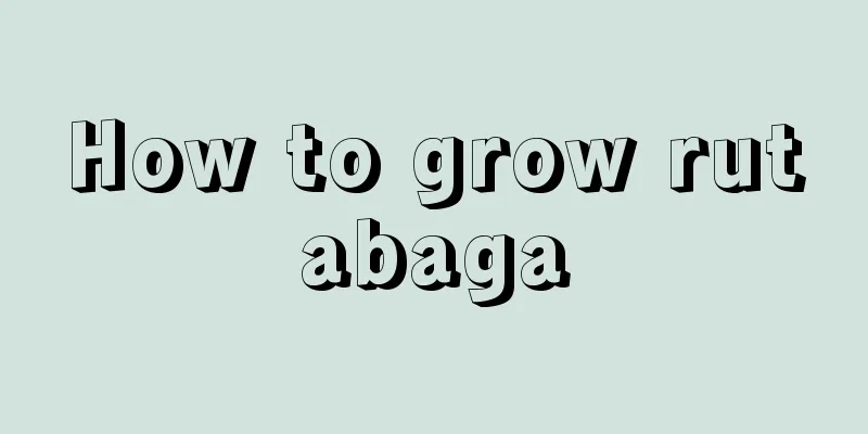 How to grow rutabaga