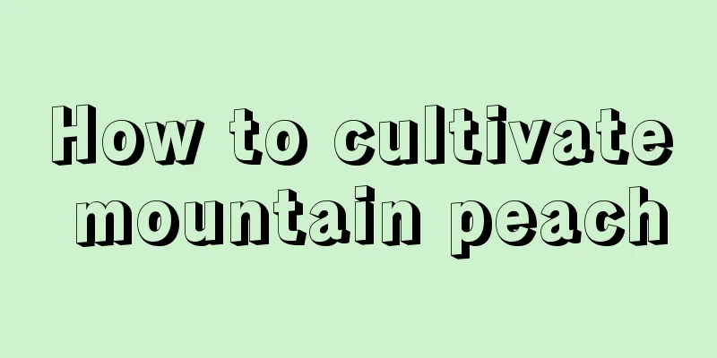 How to cultivate mountain peach