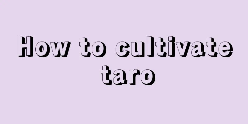 How to cultivate taro