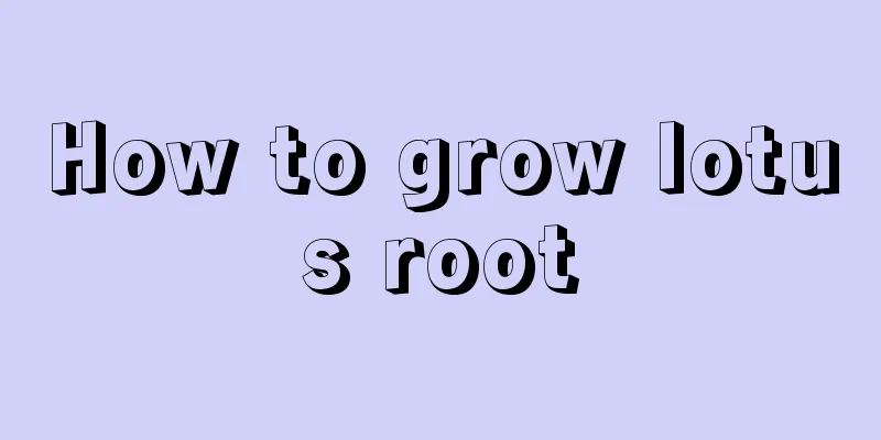 How to grow lotus root