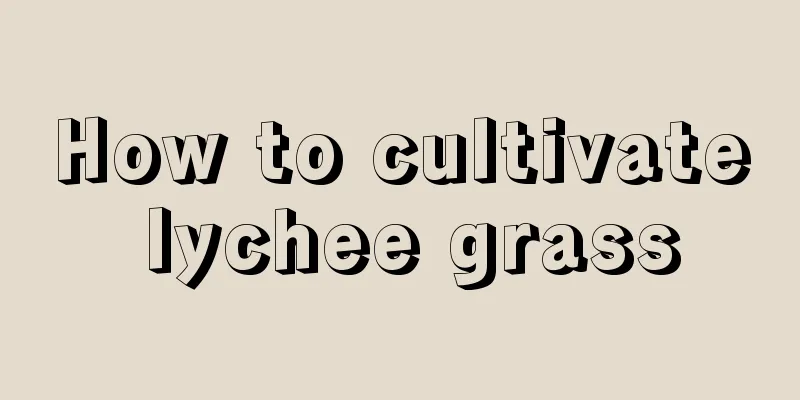 How to cultivate lychee grass