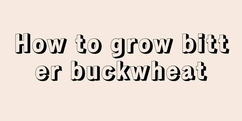 How to grow bitter buckwheat