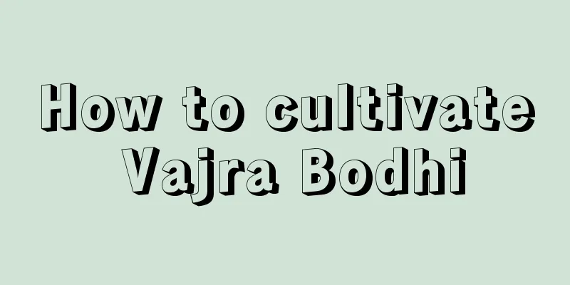 How to cultivate Vajra Bodhi