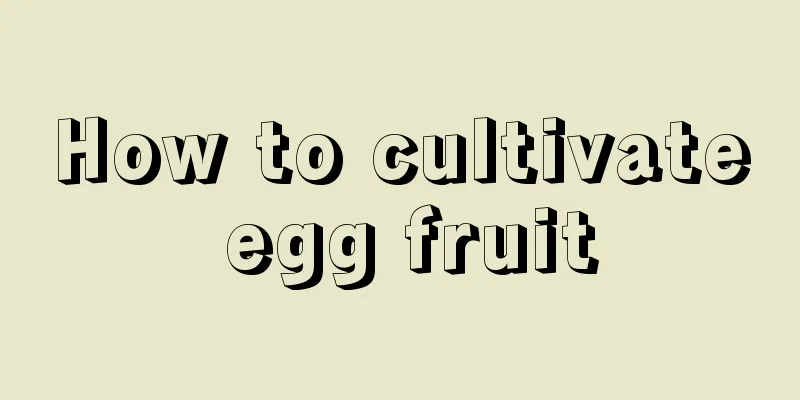 How to cultivate egg fruit