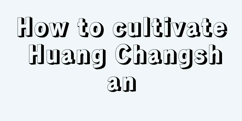 How to cultivate Huang Changshan