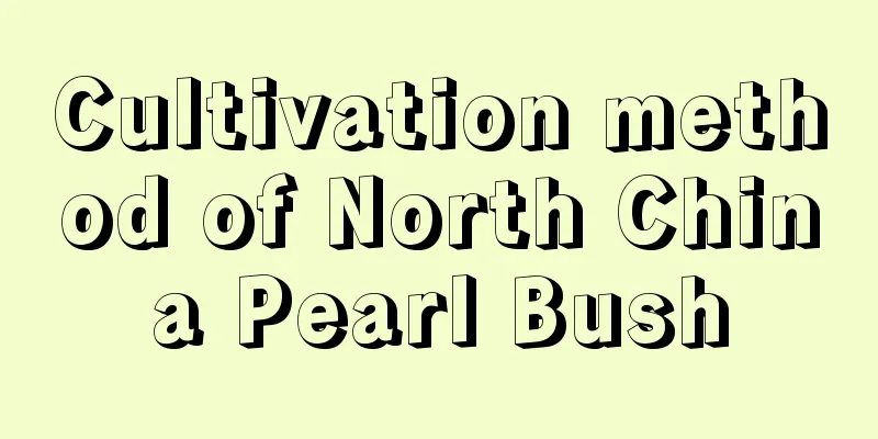 Cultivation method of North China Pearl Bush