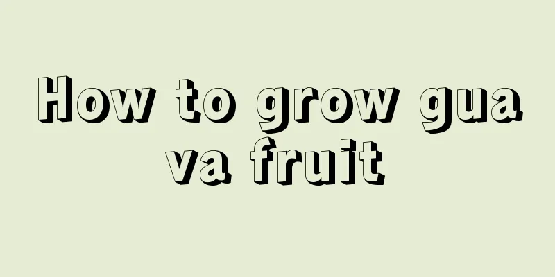 How to grow guava fruit