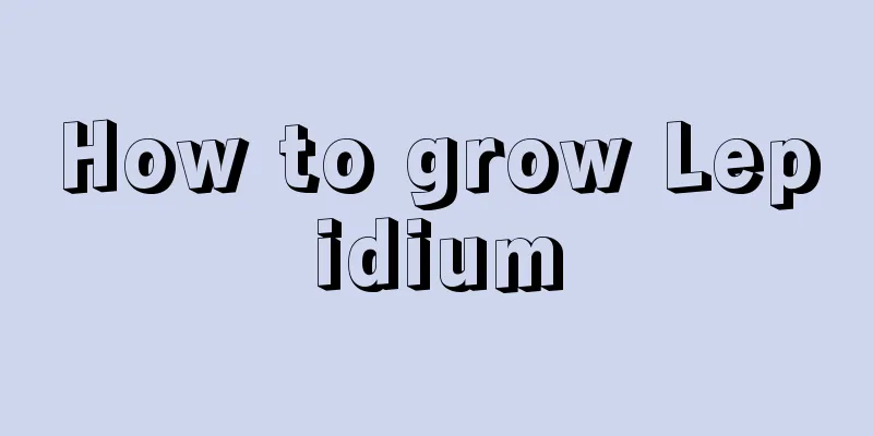 How to grow Lepidium