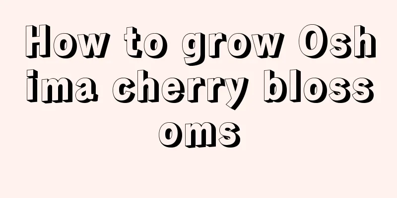 How to grow Oshima cherry blossoms